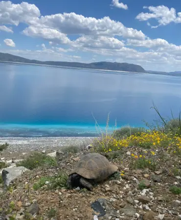 Fi Salda'da Huzurlu Bir Kaçamak